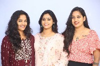 Vadevadu Veedevadu Mana Premaku Aadevadu Movie Press Meet
